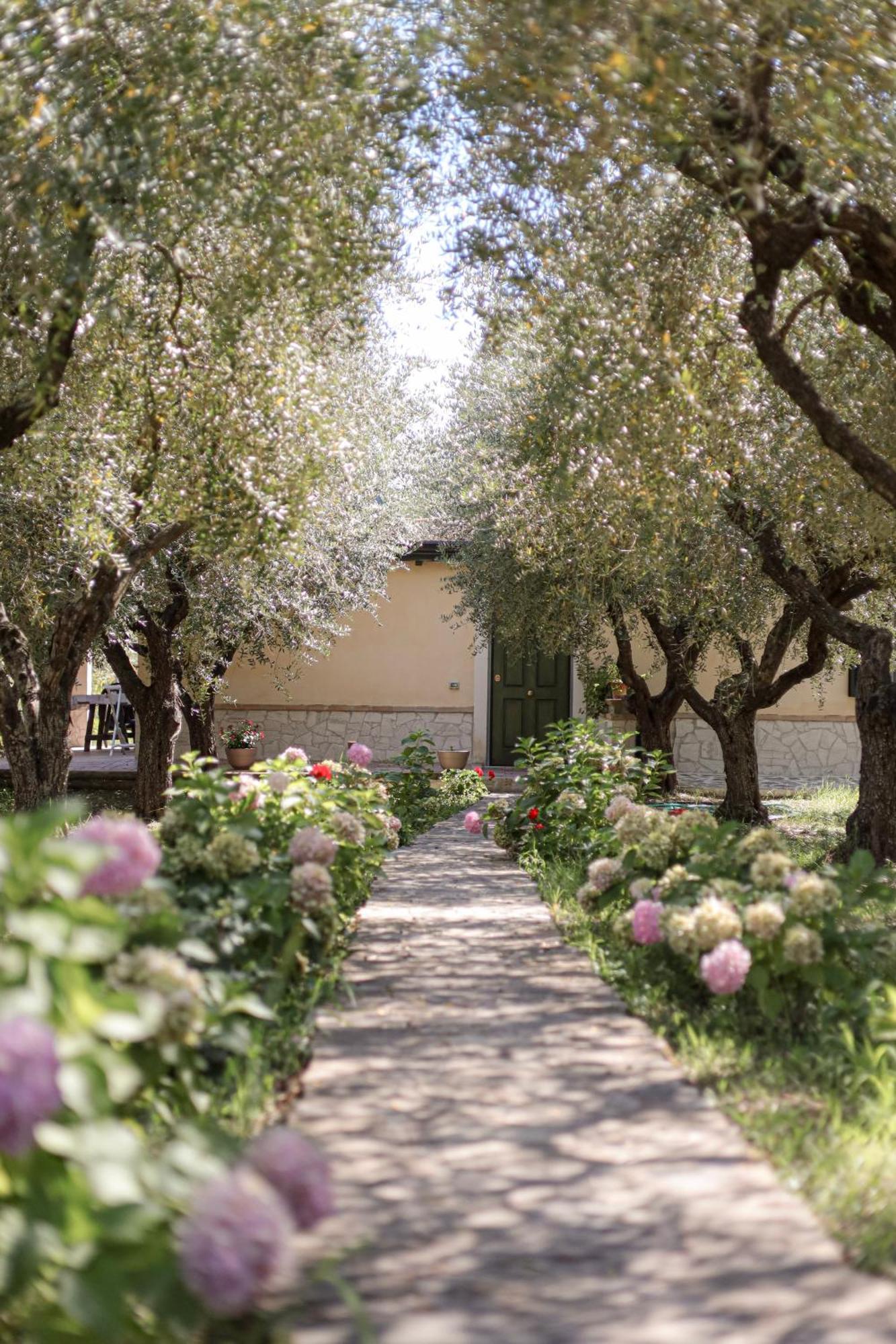 Agriturismo Il Pozzo กาซัลเวลิโน ภายนอก รูปภาพ